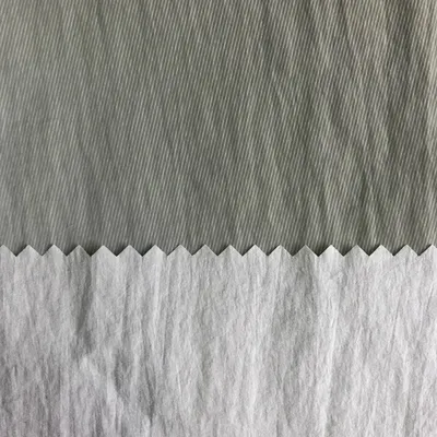 380t DTY Crinkle Nylon Taffeta Fabric with Release Paper Transferring Coating Faceside