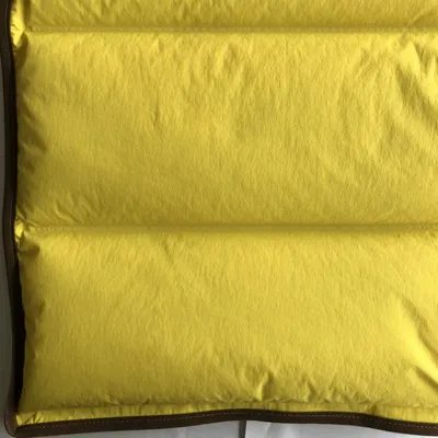 20d*26D 470t Weft Stretch Nylon Taffeta Fabric Downproof Coating for Down Jackets