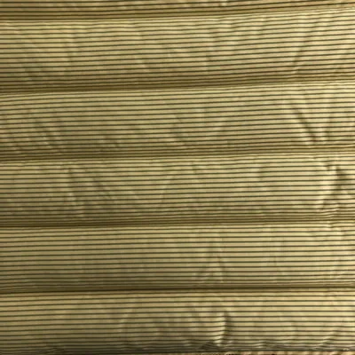 50d 360t Kation Polyester Pongee Fabric Downproof Coating for Down Jackets