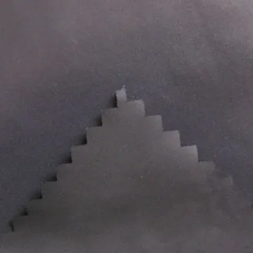 Polyester Taffeta Oil Cire Fabric for Garments, Down Proof