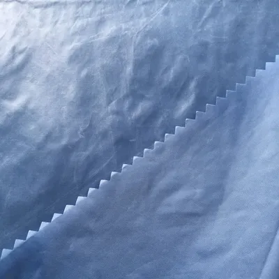 Nylon Taffeta with Water Proof and Cire Finished
