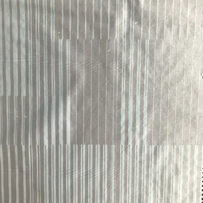 15D 380t Semi-Light Plain Weave Nylon Taffeta Printed Fabric for Garment