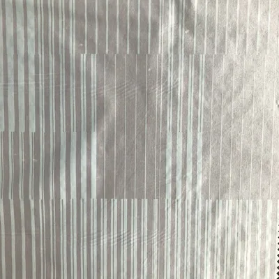 15D 380t Semi-Light Plain Weave Nylon Taffeta Printed Fabric for Garment