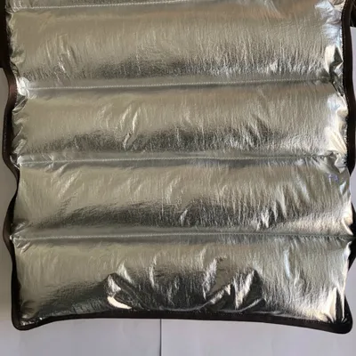 380t DTY Nylon Taffeta Fabric with Silver Pressed for Garment