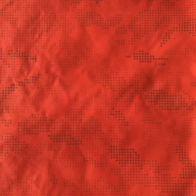 40d 300t Full Dull Nylon Taffeta Printed Fabric to Reflect Light, Reflective Printed Fabric for Garment, Down Jacket